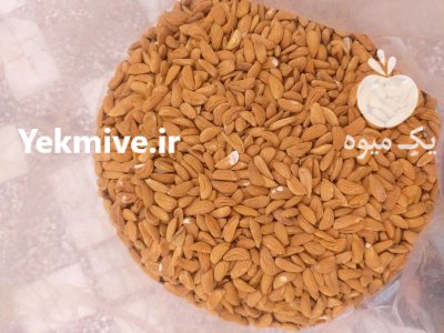 فروش بادام در شهرکرد در گروه خرید و فروش بادام در یکمیوه -عکس3