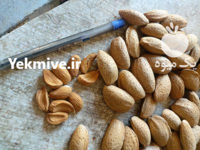 بادام فروش بادام در سامان در گروه خرید و فروش بادام در یکمیوه -عکس1