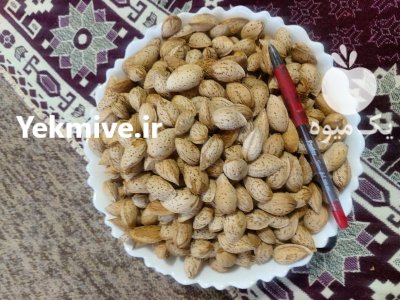بادام فروش بادام در سامان در گروه خرید و فروش بادام در یکمیوه -عکس2