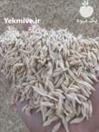 فروش جو محلی در آبیک در گروه خرید و فروش گندم و جو در یکمیوه