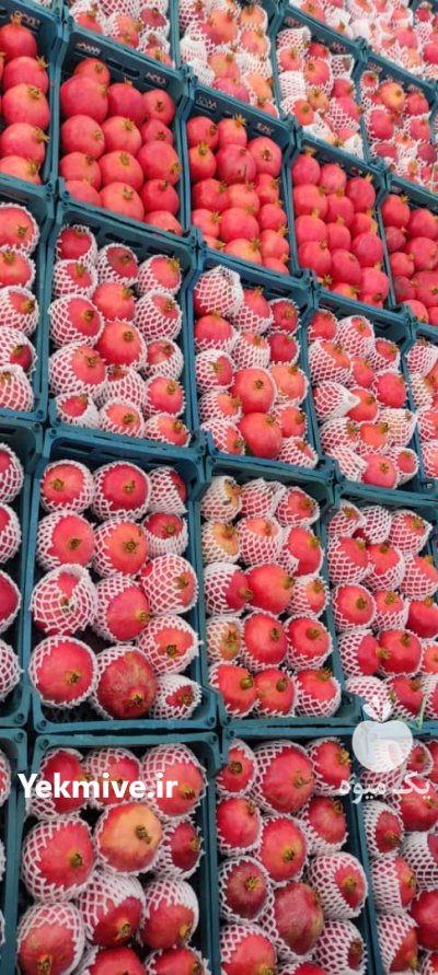 انار رباب درجه یک در گروه خرید و فروش رب در یکمیوه -عکس1