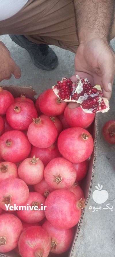 انار رباب درجه یک در گروه خرید و فروش رب در یکمیوه -عکس3