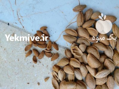 بادام زرین در شهرکرد در گروه خرید و فروش بادام در یکمیوه -عکس1