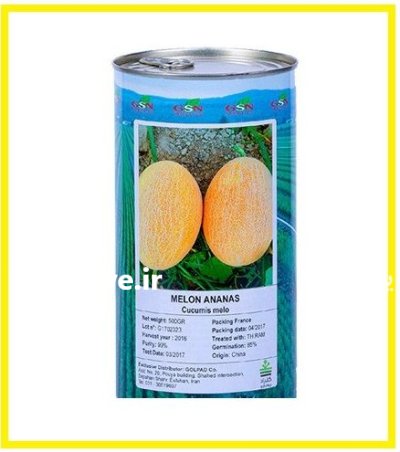 فروش بذر ملون آناناسی بذر ملون در اهواز در گروه خرید و فروش بذر ملون در یکمیوه -عکس1