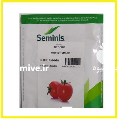 فروش بذر گوجه فرنگی BEDERO سمینیس در گروه خرید و فروش بذر گوجه در یکمیوه -عکس1