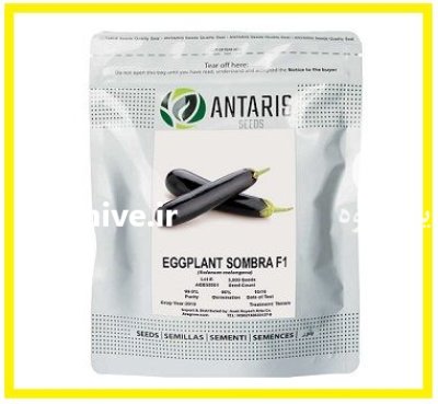 فروش بذر بادمجان آنتاریس در اهواز در گروه خرید و فروش بذر بادمجان در یکمیوه -عکس1