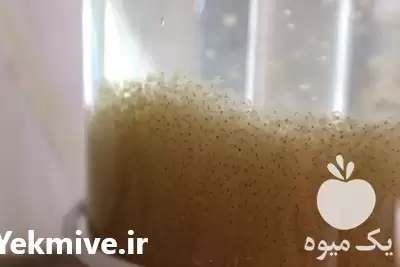 پرورش فروش انواع ماهیان تزئینی کوی در گروه خرید و فروش انواع ماهی در یکمیوه -عکس1