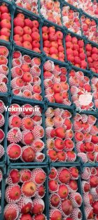 انار رباب درجه یک در گروه خرید و فروش رب در یکمیوه