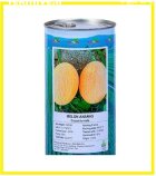 فروش بذر ملون آناناسی بذر ملون در اهواز در گروه خرید و فروش بذر ملون در یکمیوه