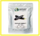 فروش بذر بادمجان آنتاریس در اهواز در گروه خرید و فروش بذر بادمجان در یکمیوه