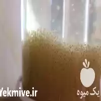 پرورش فروش انواع ماهیان تزئینی کوی در گروه خرید و فروش انواع ماهی در یکمیوه