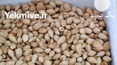 بادام محب امسالی درجه یک در تهران در گروه خرید و فروش بادام در یکمیوه -عکس1
