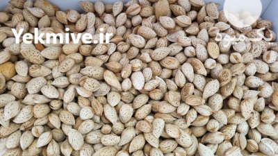 بادام محب امسالی درجه یک در تهران در گروه خرید و فروش بادام در یکمیوه -عکس3