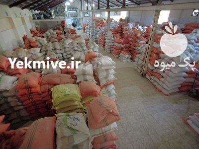 فروش مستقیم انواع برنج ایرانی در رشت در گروه خرید و فروش برنج در یکمیوه -عکس1