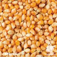 قیمت خرید ذرت پاپ کورن در تهران در گروه خرید و فروش ذرت در یکمیوه