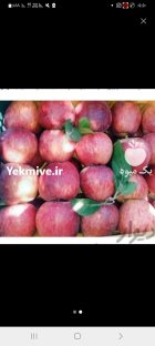 فروش 20 تن سیب لبنان قرمز وارد در گروه خرید و فروش رب در یکمیوه