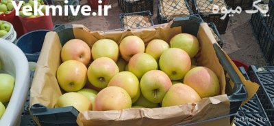 سیب درجه یک ممتاز سفید در گروه خرید و فروش سیب در یکمیوه -عکس1