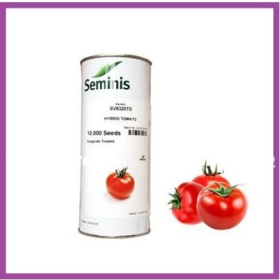 فروش بذر گوجه رقم 8320 سمینیس در گروه خرید و فروش بذر گوجه در یکمیوه -عکس1