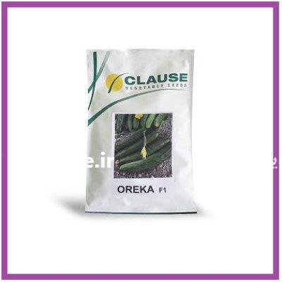 فروش بذر خیار زودرس ORKA کلوز در مشهد در گروه خرید و فروش بذر خیار در یکمیوه -عکس1