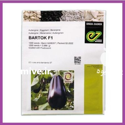 فروش بذر بادمجان BARTOK F 1 انزازادن در مشهد در گروه خرید و فروش بذر بادمجان در یکمیوه -عکس1