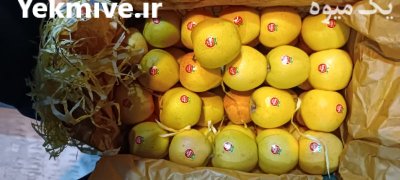 فروش سیب مراغه در تبریز روستای در گروه خرید و فروش سیب در یکمیوه -عکس1