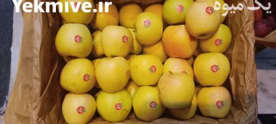 فروش سیب مراغه در تبریز روستای در گروه خرید و فروش سیب در یکمیوه -عکس4