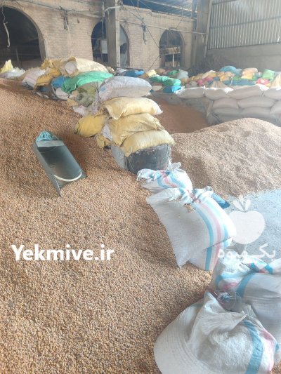 دون مرغی تناژ بالا دان مرغی در تهران در گروه خوراک دام و طیور در یکمیوه -عکس1