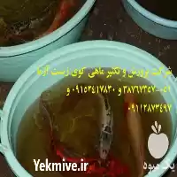قیمت خرید شرکت تکثیر پرورش ماهی در گروه خرید و فروش ماهی کوی در یکمیوه