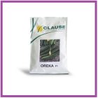 فروش بذر خیار زودرس ORKA کلوز در مشهد در گروه خرید و فروش بذر خیار در یکمیوه