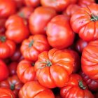 فروش بذر گوجه فرنگی beefsteak بیف در مشهد در گروه خرید و فروش بذر گوجه در یکمیوه