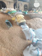 دون مرغی تناژ بالا دان مرغی در تهران در گروه خوراک دام و طیور در یکمیوه