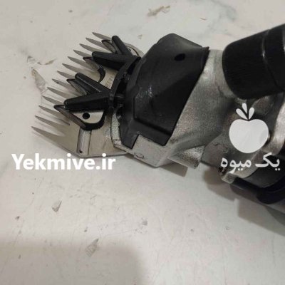 پشم چین گوسفند و موزن اسب در کرمان  در گروه تجهیزات دامداری در یکمیوه -عکس2