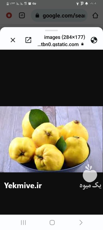 فروش 10 تن میوه به ارگانیک در نی ریز در گروه خرید و فروش میوه به در یکمیوه -عکس1