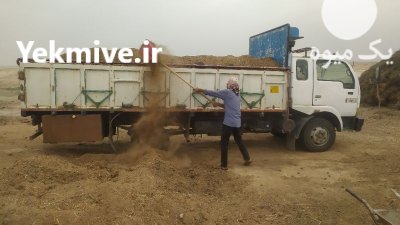 کود حیوانی در گنبد کاووس در گروه خرید و فروش کود حیوانی در یکمیوه -عکس1