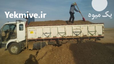 کود حیوانی در گنبد کاووس در گروه خرید و فروش کود حیوانی در یکمیوه -عکس2