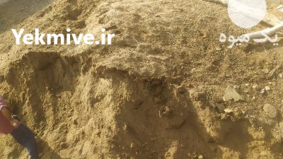 کود حیوانی در گنبد کاووس در گروه خرید و فروش کود حیوانی در یکمیوه -عکس3