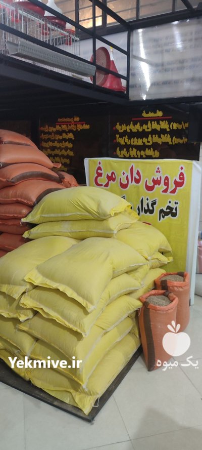 فروش دان مرغ دون مرغ دان در شهریار در گروه خوراک دام و طیور در یکمیوه -عکس2
