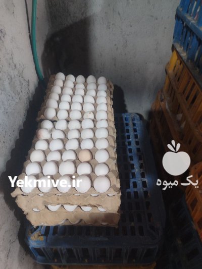 فروش دان مرغ دون مرغ دان در شهریار در گروه خوراک دام و طیور در یکمیوه -عکس3