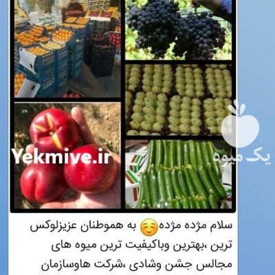 حجره دار بزرگ تهران بارفروشی در گروه حق العمل کاری محصولات کشاورزی در یکمیوه -عکس2