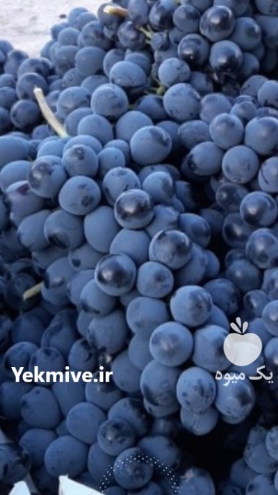 حجره دار بزرگ تهران بارفروشی در گروه حق العمل کاری محصولات کشاورزی در یکمیوه -عکس3