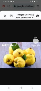 فروش 10 تن میوه به ارگانیک در نی ریز