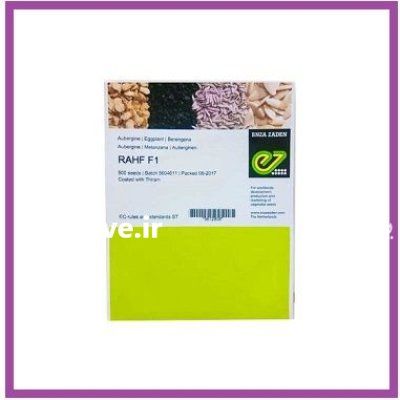 فروش بذر بادمجان راف انزازادن هلند در شیراز در گروه خرید و فروش بذر بادمجان در یکمیوه -عکس1