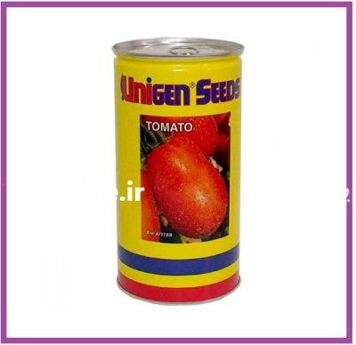 فروش بذر گوجه یونیژن ریوگرند در شیراز در گروه خرید و فروش بذر گوجه در یکمیوه -عکس1