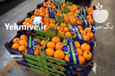 ارز صادراتی سیب پرتقال واردات در تهران در گروه سایر صادرات و واردات در یکمیوه -عکس1