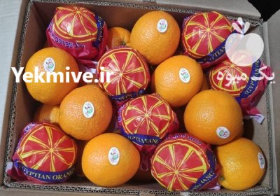 ارز صادراتی سیب پرتقال واردات در تهران در گروه سایر صادرات و واردات در یکمیوه -عکس2