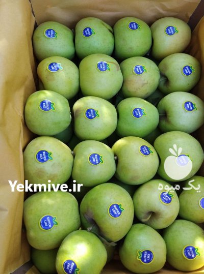 سیب درجه یک و دو در ارومیه در گروه خرید و فروش سیب در یکمیوه -عکس1