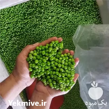 فروش عمده نخود سبز منجمد در گروه خرید و فروش نخود در یکمیوه -عکس1