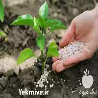 فروش نیترات آمونیوم برای مصارف کشاورزی در سمنان در گروه خرید و فروش کود آمونیوم در یکمیوه