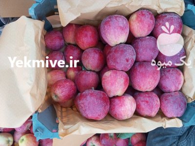 تن سیب قرمز قیمت توافقی در ارومیه در گروه خرید و فروش سیب در یکمیوه -عکس1
