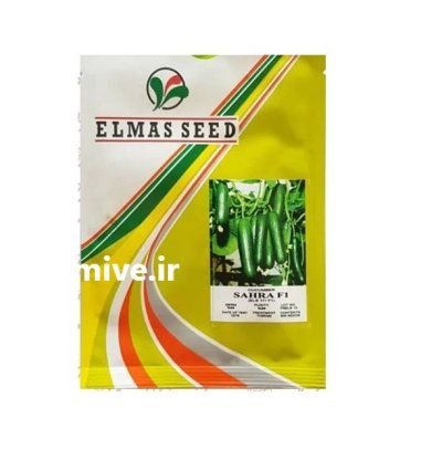 فروش بذر خیار مگا صحرا بذر در شیراز در گروه خرید و فروش بذر خیار در یکمیوه -عکس1